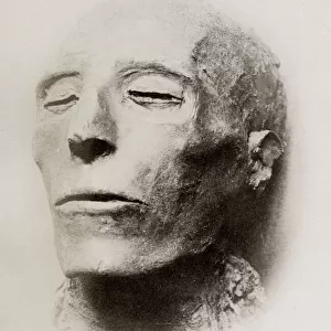 mummified head of King Seti I, pharaoh