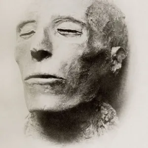 mummified head of King Seti I, pharaoh