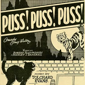 Music cover, Puss! Puss! Puss