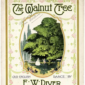 Music cover, The Walnut Tree, by E W Diver