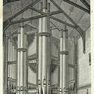 Music / Instruments / Organ