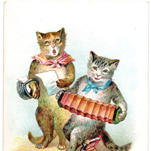 Two musical cats on a Christmas card