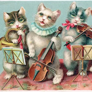 Four musical cats on a Christmas postcard
