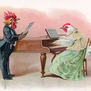 Musical cock and hen with piano on a greetings postcard