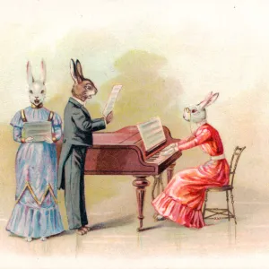 Musical rabbits with piano on a greetings postcard