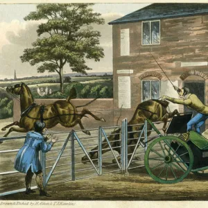 MYTTON DRIVES CARRIAGE