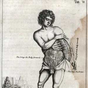 Naked male on a plinth with cross section of stomach