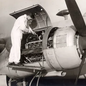 Napier Sabre installation on Vickers Warwick CIII, HG24