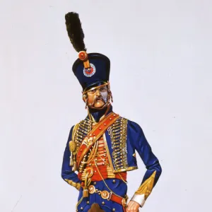 Napoleonic Hussar