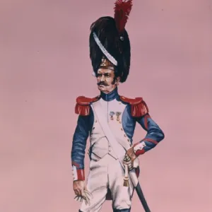 Napoleonic War - Grenadier of the French Imperial Guard