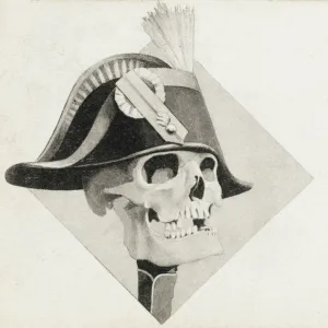 Napoleons skull