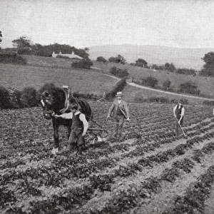 National Childrens Home (NCH), Frodsham - Ploughing