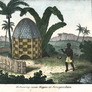 Native thatched hut under palm trees in Senegambia