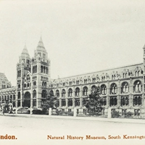 Natural History Museum, South Kensington, London
