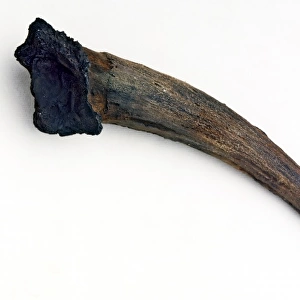 Neanderthal Man artifact (Tabun)