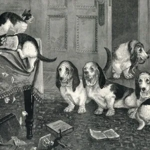 A new dog-fancy: the Basset Hounds by Louis Wain