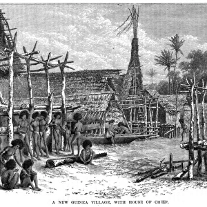 New Guinea Village