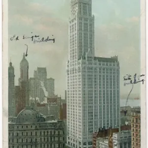 New York / Woolworth Bldg New York / Woolworth Bldg