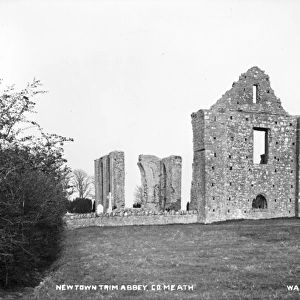 Newtown Trim Abbey, Co. Meath