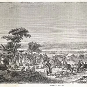 Nigeria / Sokoto 1850S