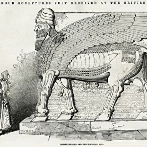Nineveh Sculpture at the British Museum, London