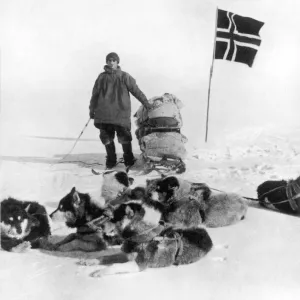 The Norwegian Flag at the South Pole, 1911