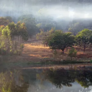 Nyanga Forest and pool - Zimbabwe