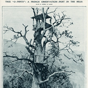 O- Pip A French observation post in a tree