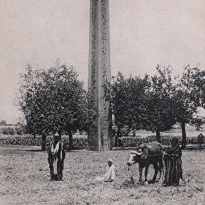 Obelisk at Heliopolis, Cairo, Egypt