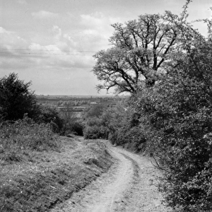 Old Banbury Trackway
