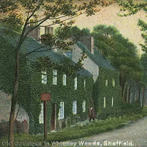 Old Cottages in Whiteley Woods, Sheffield