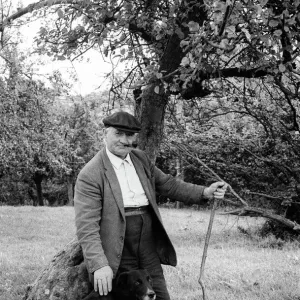 Old farmer with dog in orchard