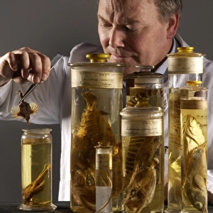 Oliver Crimmen with fish specimens
