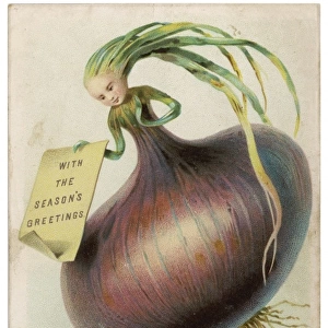 Onion Christmas Card