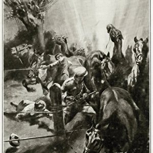 Ordeal for horses on the Western Front, 1917