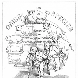 Origin Species, CH Bennett, title page