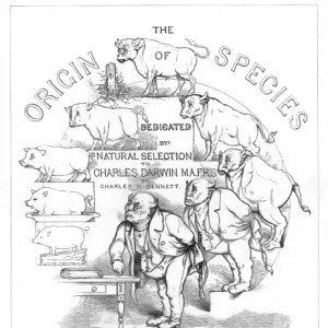 Origin Species, CH Bennett, title page