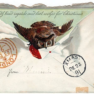 Owl in an envelope on a Christmas card