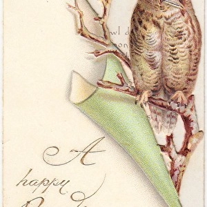 Owl with quill pen on a New Year card