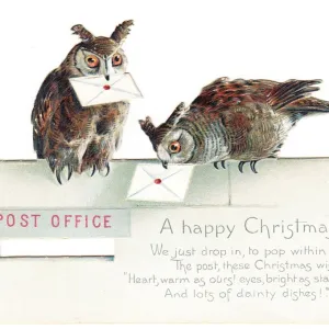 Two owls on a Christmas card