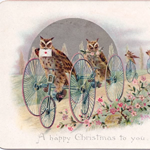 Four owls on a Christmas card