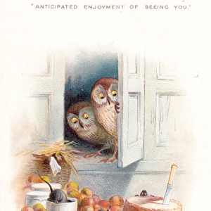 Two owls watching mice on a Christmas card