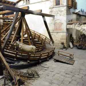 Ox treadmill, uper Italy, ca. 1600. Were used to drive corn