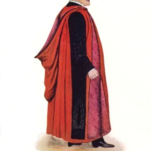 Oxford University robes: Doctor of Music (full dress)