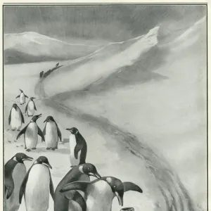 Oxo advertisement - Scott Antarctic expedition endorsement