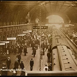 Paddington Platforms 2