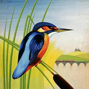 Painting of a kingfisher