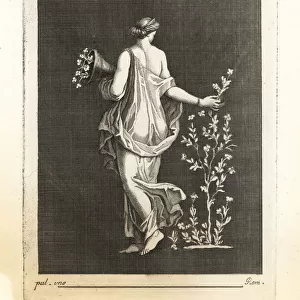 Painting of the nymph Chloris or Flora, wife of Zephyrus