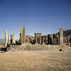 Palace of Darius I. Apadana or Audience Hall