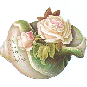 Pale pink roses on a shell-shaped Christmas card